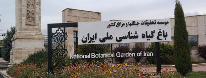 مقاله از پژواک مرجع تخصصی بازار موبایل ایران