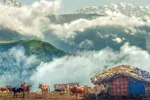 سفر به مازیچال؛ سرزمین اقیانوس ابرها